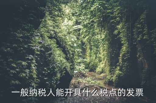 一般納稅人領(lǐng)什么發(fā)票，一般納稅人企業(yè)能開具和使用什么類型的發(fā)票