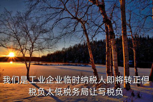 我們是工業(yè)企業(yè)臨時納稅人即將轉正但稅負太低稅務局讓寫稅負