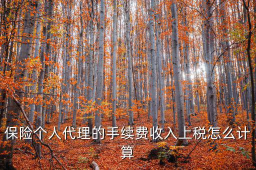 保險代理員交什么稅，請問從車輛保險代理人的提承里扣的稅是什么稅啊