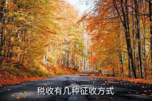 稅務(wù)征非稅采取什么方式，稅務(wù)征收有哪幾種