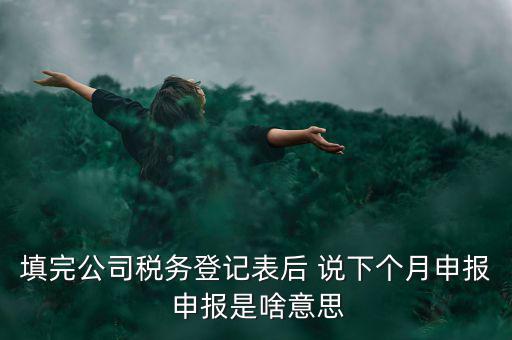 納稅登記表是什么意思，填完公司稅務(wù)登記表后 說下個(gè)月申報(bào) 申報(bào)是啥意思