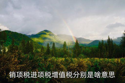 什么是銷項(xiàng)和進(jìn)項(xiàng)，進(jìn)項(xiàng)稅和銷項(xiàng)稅是什么意思