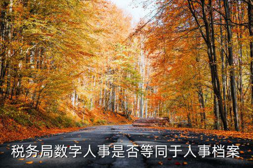 數(shù)字人事國稅是什么，數(shù)字人事第一段怎么劃分