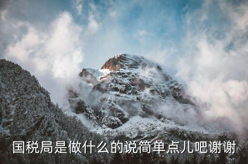濰坊市國(guó)稅局是什么，國(guó)稅局的具體解釋是什么