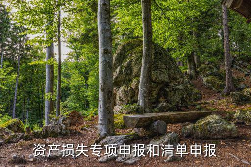 資產(chǎn)損失專(zhuān)項(xiàng)申報(bào)和清單申報(bào)