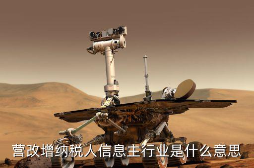 國(guó)稅主行業(yè)都是什么意思，營(yíng)改增納稅人信息主行業(yè)是什么意思