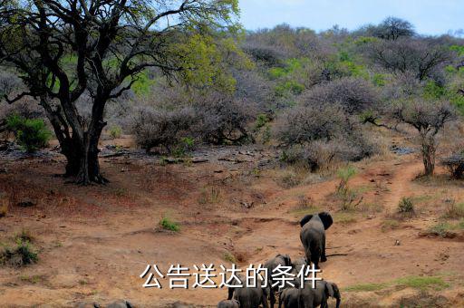 稅務(wù)局公告送達(dá)需要什么條件，公告送達(dá)的條件