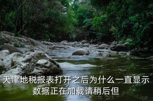 天津地稅為什么，天津地稅報表打開之后為什么一直顯示數(shù)據(jù)正在加載請稍后但