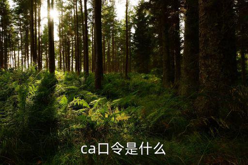 ca證書驗(yàn)證口令是什么，ca口令是什么