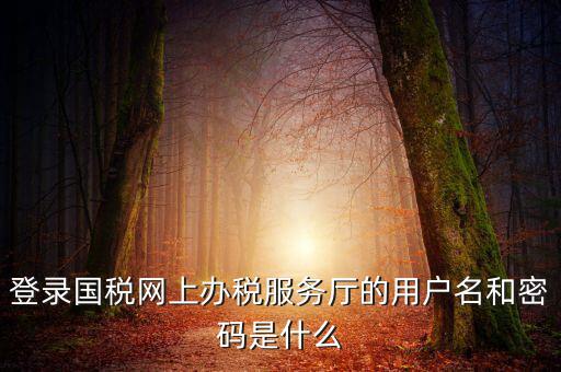 國稅默認賬號是什么意思，你好我想問你 一下 網(wǎng)上國稅的用戶名和密碼是什么