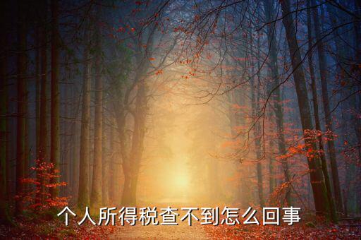 個(gè)人所得稅扣減為什么查不到，個(gè)人所得稅為什么不能在網(wǎng)上查找