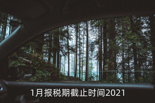 1月份地稅什么時候申報，報稅一般都是每個月什么時候報稅