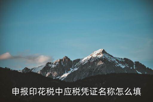 印花稅應稅憑證名稱是什么，申報印花稅中應稅憑證名稱怎么填