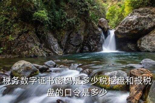 國稅開票軟件的稅務(wù)證書密碼是什么，稅務(wù)數(shù)字證書密碼是多少稅控盤和報(bào)稅盤的口令是多少