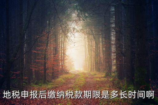 地稅申報(bào)后繳納稅款期限是多長時(shí)間啊