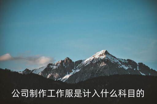 工作服屬于什么稅收分類編碼，稅控上商品和服務稅收分類編碼怎么填