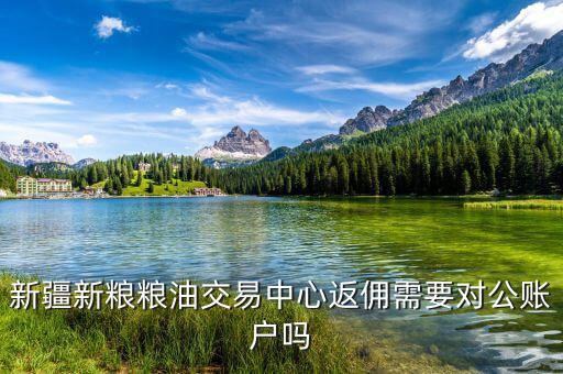 新疆地稅用戶(hù)名是什么，全國(guó)會(huì)計(jì)繼續(xù)教育網(wǎng)注冊(cè)用戶(hù)名怎樣填