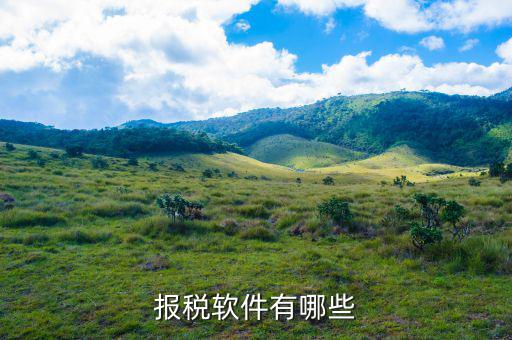 四川報(bào)稅軟件叫什么名字，網(wǎng)上報(bào)稅的那個(gè)軟件叫什么呀