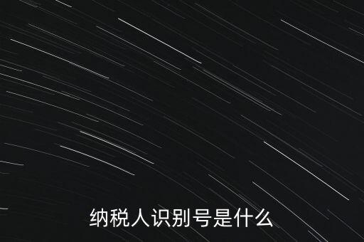 山西國(guó)稅納稅人識(shí)別號(hào)是什么，納稅人識(shí)別號(hào)是什么