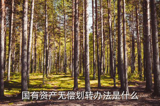 資產(chǎn)劃轉(zhuǎn)需要什么程序，集團(tuán)公司調(diào)給屬下單位固定資產(chǎn)必須辦理哪些手續(xù)