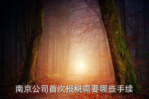 南京什么公司在地稅局交稅，哪些稅在國稅局交哪些在地稅局交