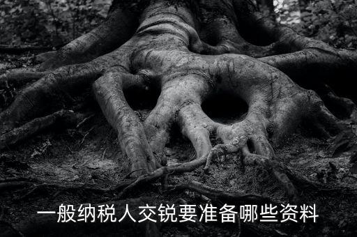 交稅需要什么資料，一般納稅人交銳要準備哪些資料