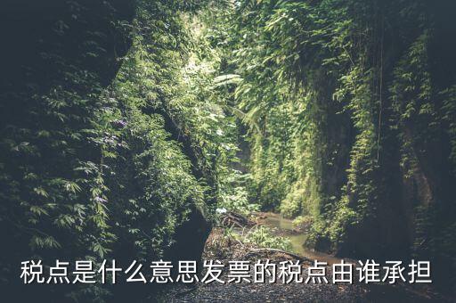 稅點(diǎn)由什么決定，稅點(diǎn)是什么意思