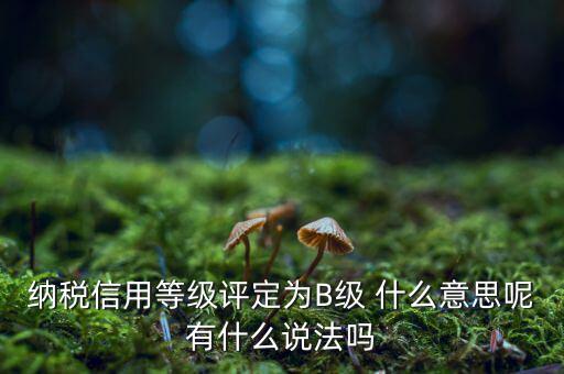 國(guó)稅b級(jí)信用是什么意思，納稅信用等級(jí)評(píng)定為B級(jí) 什么意思呢有什么說(shuō)法嗎