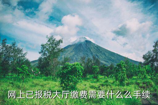 到大廳劃稅款需要什么意思，納稅人到銀行劃解稅款的征收方式劃解是什么意思