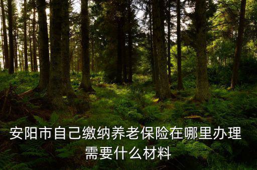 安陽(yáng)地稅局交個(gè)人保險(xiǎn)在什么地方，安陽(yáng)市醫(yī)保交費(fèi)在哪里地稅局