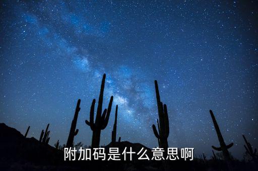 遼寧查發(fā)票有一個附加碼是什么，發(fā)票真?zhèn)尾樵兇a是什么