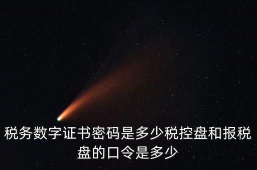新報稅盤密碼是什么，稅務(wù)數(shù)字證書密碼是多少稅控盤和報稅盤的口令是多少