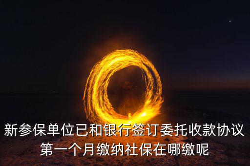 什么時(shí)候辦理授權(quán)劃繳協(xié)議，如何取得委托銀行劃轉(zhuǎn)地方稅費(fèi)授權(quán)書(shū)協(xié)議書(shū)去銀行還是去地稅
