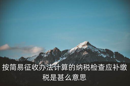 簡易征收什么意思，按簡易征收辦法計算的納稅檢查應(yīng)補繳稅是甚么意思