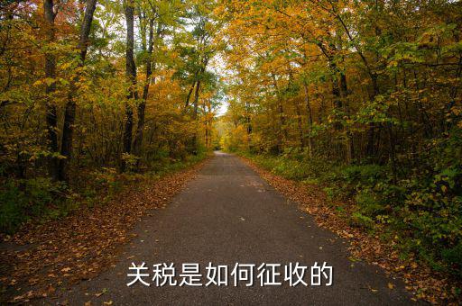 依據(jù)什么征收關(guān)稅，關(guān)稅是如何征收的
