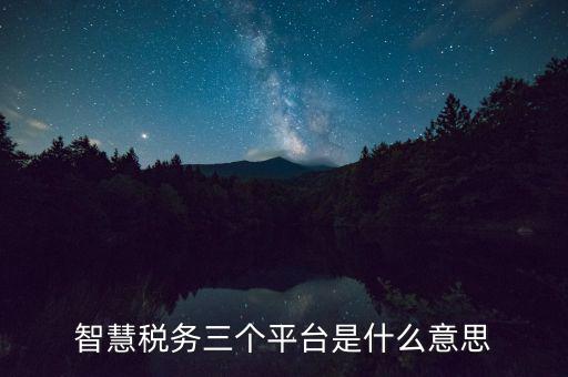智慧地稅指什么意思，智慧稅務三個平臺是什么意思