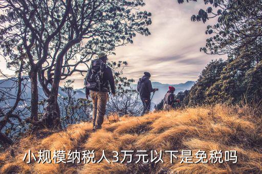 3萬以下免稅是什么意思，小規(guī)模納稅人3萬元以下是免稅嗎