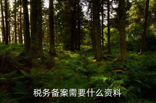 消費(fèi)稅免稅備案需要帶什么資料，理跨境服務(wù)免稅備案手續(xù)時(shí)需要提交哪些資料