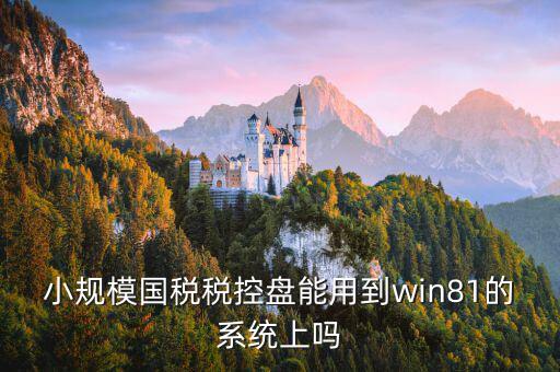 稅盤安裝支持什么系統(tǒng)下載，稅控發(fā)票開票軟件v2130170612能在win10上安裝嗎