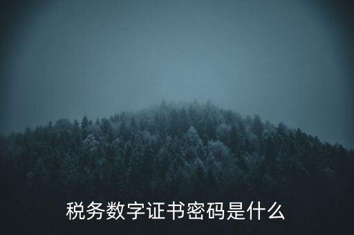 輸入稅務(wù)數(shù)字證書密碼是什么，稅務(wù)數(shù)字證書密碼是什么
