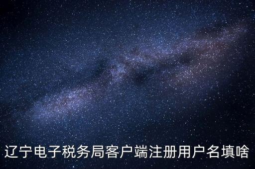遼寧省網(wǎng)上稅務(wù)局登錄需要什么，遼寧電子稅務(wù)局客戶端注冊用戶名填啥