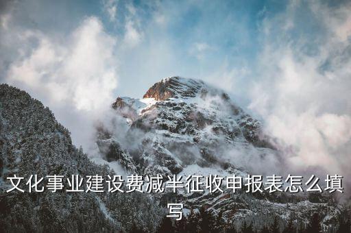 什么叫文化事業(yè)建設(shè)費(fèi)申報(bào)表，文化事業(yè)建設(shè)費(fèi)申報(bào)表怎么填
