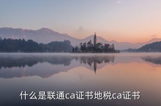 什么是地稅ca證書，社保CA地稅CA