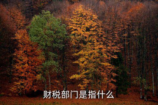 財稅征收保障網(wǎng)是什么，財稅部門是指什么