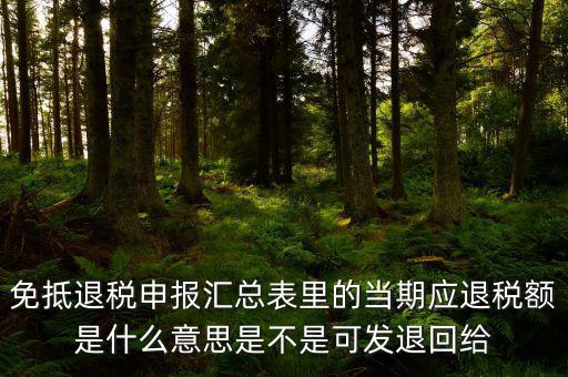 免抵退貨物應(yīng)退稅額是什么意思，免抵退應(yīng)退稅額是什么意思