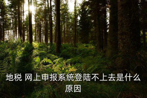 湖南地稅為什么不能登，地稅網(wǎng)上申報(bào)系統(tǒng)登陸不上去是什么原因