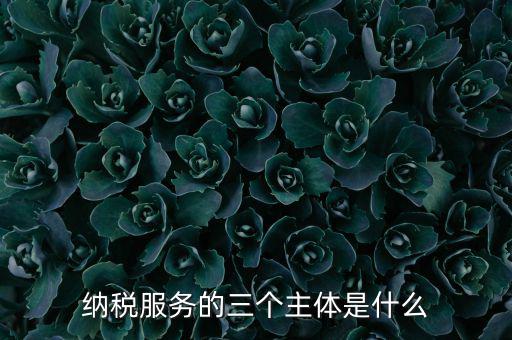 納稅服務(wù) 是什么，納稅服務(wù)的三個(gè)主體是什么