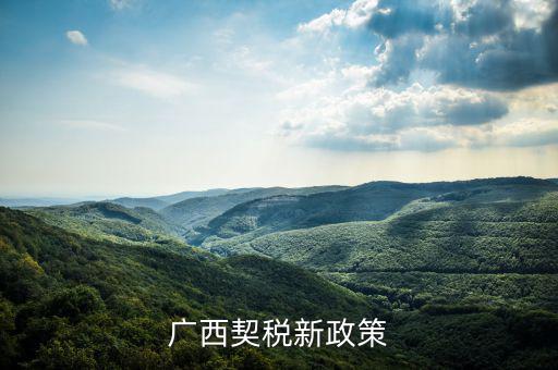 廣西的稅收什么時(shí)候?qū)嵭幸话阌?jì)稅，2022年的廣西稅率