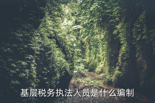 基層稅收?qǐng)?zhí)法干什么的，基層稅務(wù)執(zhí)法人員是什么編制