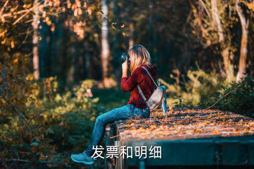 發(fā)票中的明細是什么意思，發(fā)票的明細條數(shù)控制在2000條是什么意思